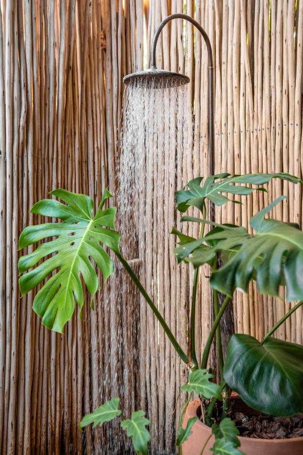 Pousada Hayo Pe Na Areia Caraiva Ngoại thất bức ảnh